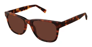 S412-Sfs-2014 Tortoise