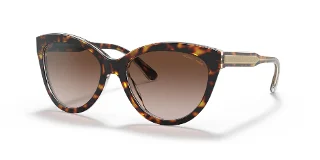 310213 Dark Tortoise/Clear