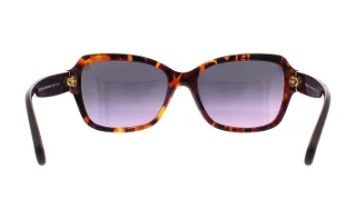 Coach Sunglasses HC8160 L145