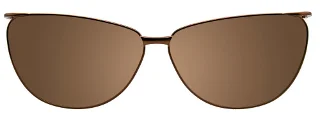 Easyclip Eyeglasses EC312