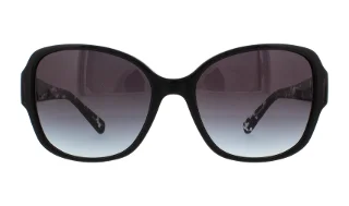 Coach Sunglasses HC8166 L154