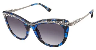 C03 Blue Tortoise