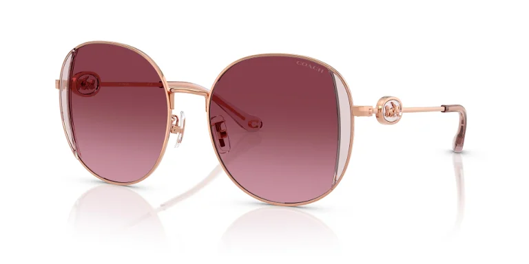 Coach Sunglasses HC7176B
