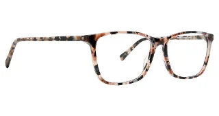 Pink Tortoise