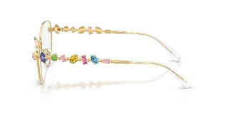 Swarovski Eyeglasses SK1024