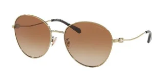 Coach Sunglasses HC7097B