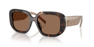 196473 Dark Tortoise