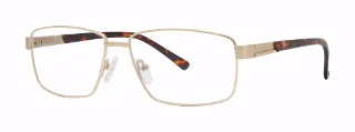 Gold/Tortoise
