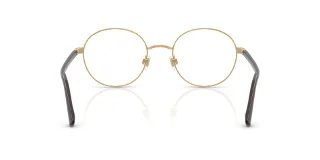 Polo Eyeglasses PH1248