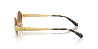 Coach Sunglasses HC7192D