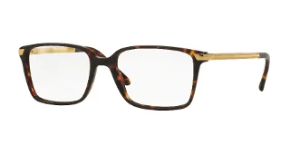 C543 Dark Havana