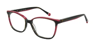 Camelot Eyeglasses Fab