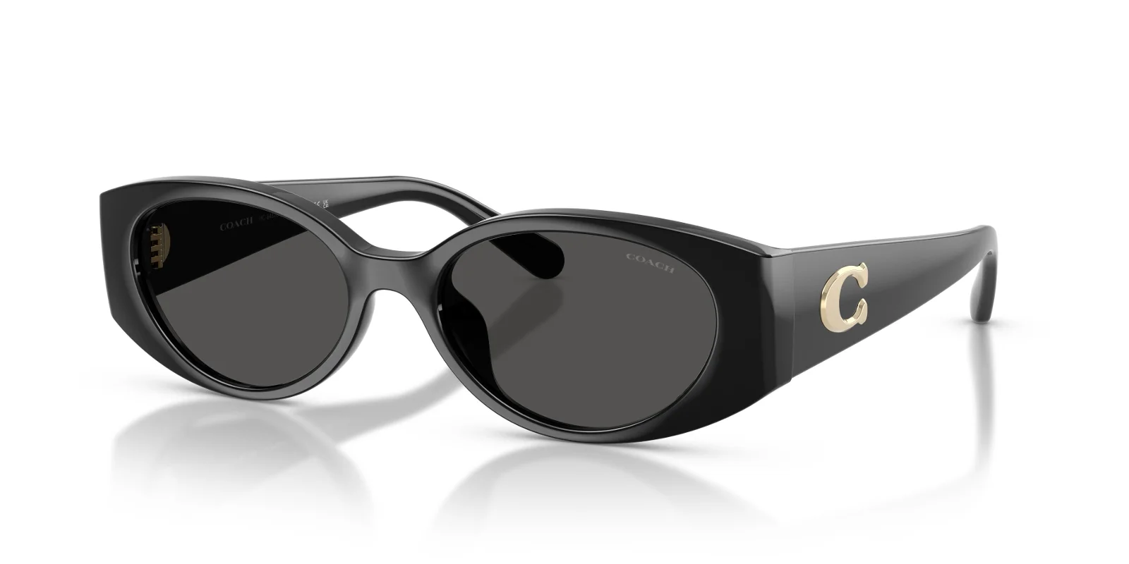 Coach Sunglasses HC8462U