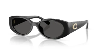 Coach Sunglasses HC8462U