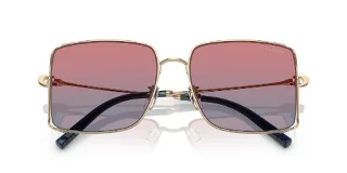 Coach Sunglasses HC7174D