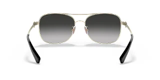 Coach Sunglasses HC7127