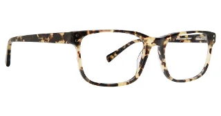 Tortoise