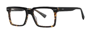 Black/Tortoise