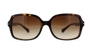 Coach Sunglasses HC8116 L087 Blair