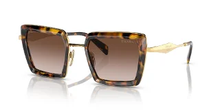 VAU6S1 Honey Tortoise