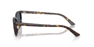 Ray Ban Sunglasses RB4456