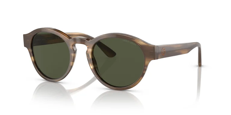 Giorgio Armani Sunglasses AR8146