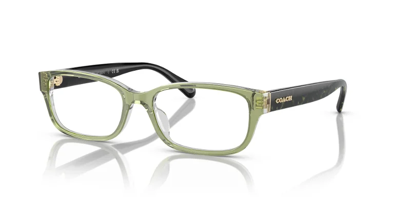 Coach Eyeglasses HC6221U