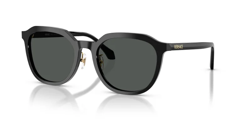 Versace Sunglasses VE4493D