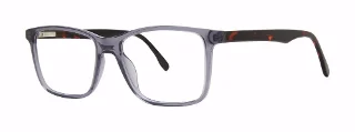 blue/tortoise