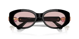 Swarovski Sunglasses SK6002