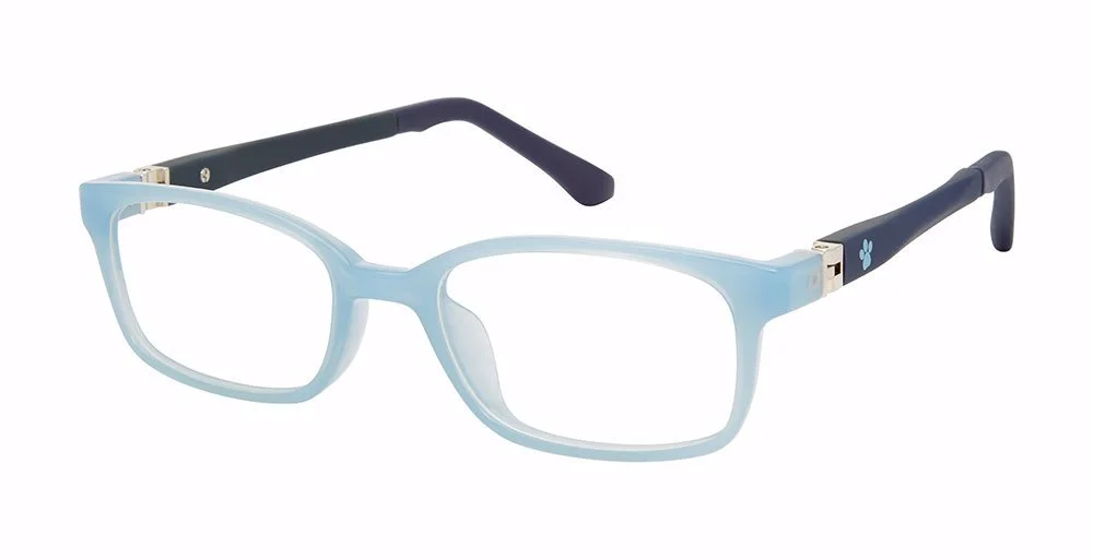 Paw Patrol Eyeglasses 20 PAW PATROL