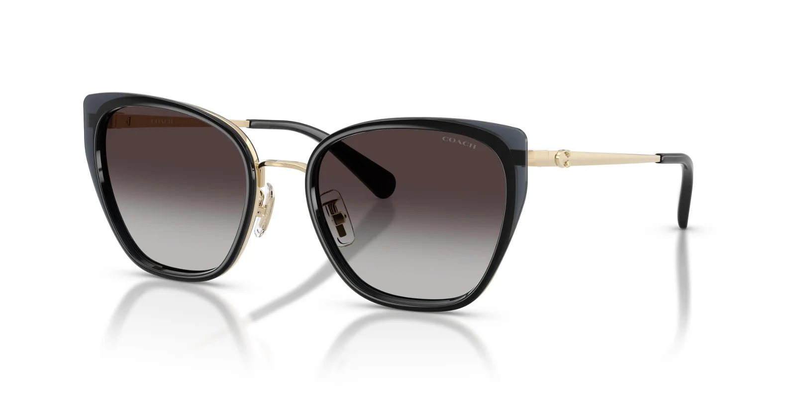 Coach Sunglasses HC7187
