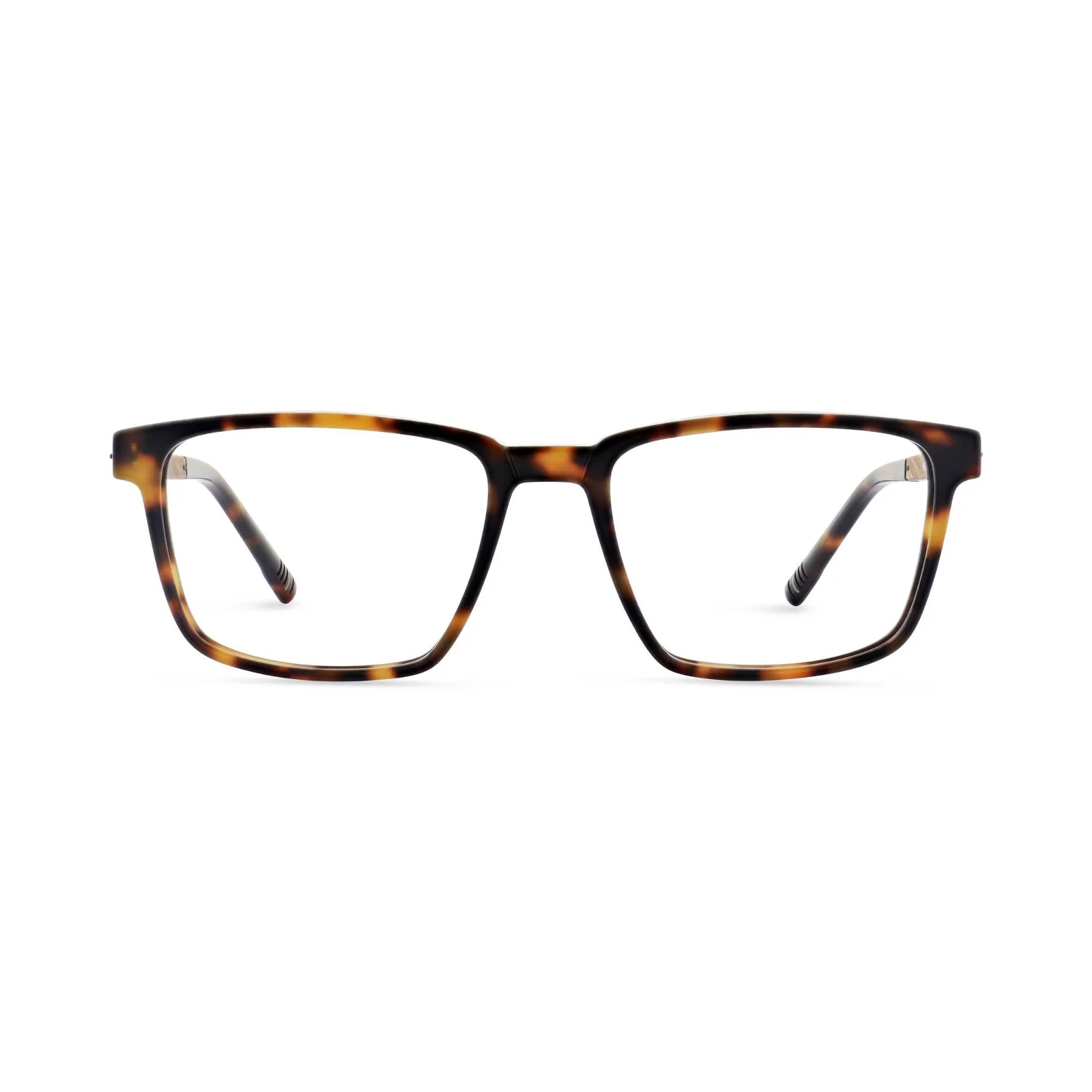 Morel Eyeglasses SKARA 3