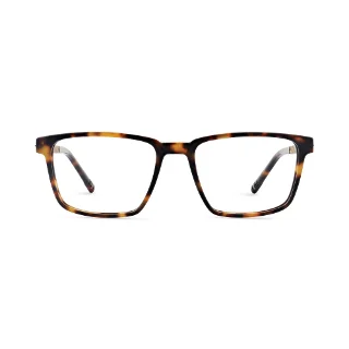TN07 Tortoiseshell