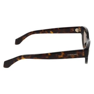 Salvatore Ferragamo Sunglasses SF2062SE