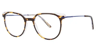 550 Tortoise