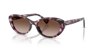 634213 Violet Havana