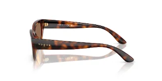 Vogue Sunglasses VJ2029