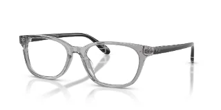 6317 Shiny Transparent Grey