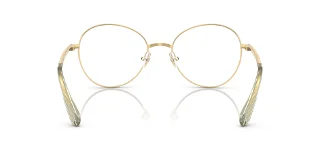 Swarovski Eyeglasses SK1013