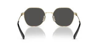 Coach Sunglasses HC7155