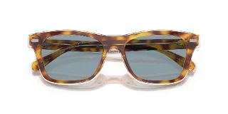 Coach Sunglasses HC8371U