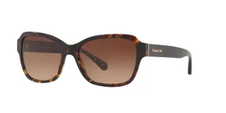 Coach Sunglasses HC8232