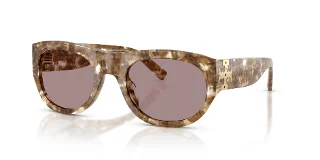 2026LA Transparent/Brown Tortoise