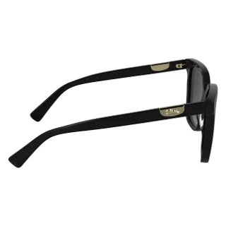 Longchamp Sunglasses LO772S