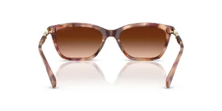 Emporio Armani Sunglasses EA4238