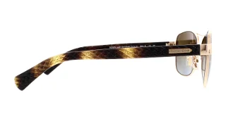 Coach Sunglasses HC7054 L129
