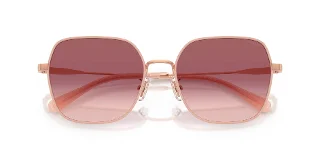 Coach Sunglasses HC7180D