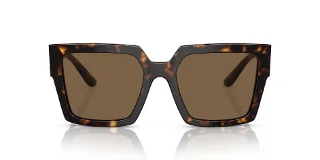 Dolce & Gabbana Sunglasses DG4446B