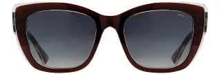 INVU Sunglasses INVU- 366